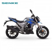 Мотоцикл SENKE LEOPARD SK250-6